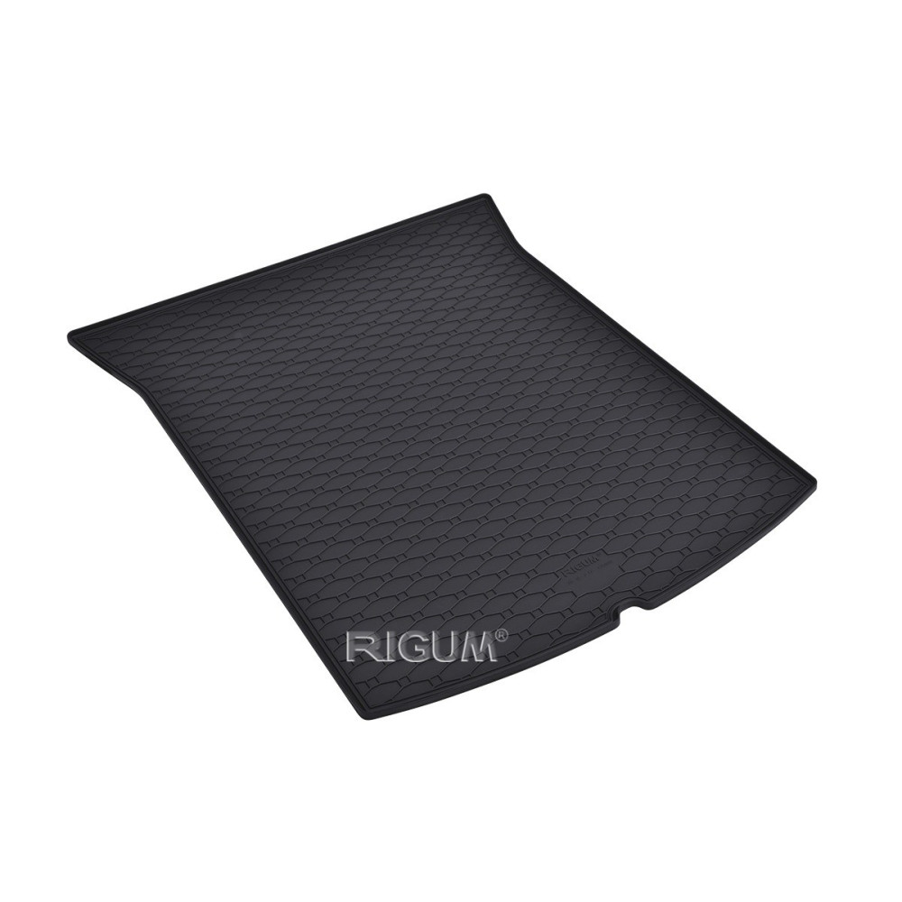 CAR RUBBER TRUNK MAT TESLA MODEL 3 2017-...) RIGUM RKK