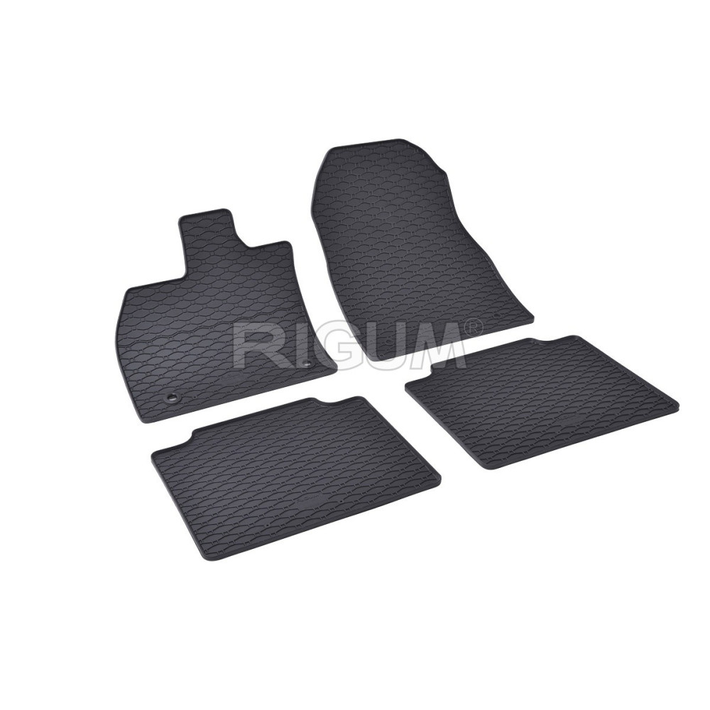 CAR RUBBER FLOOR MATS BLACK LEXUS RZ (2022-...) RIGUM