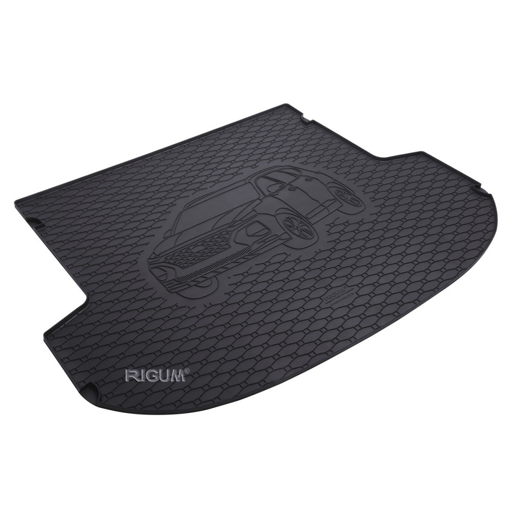 CAR RUBBER TRUNK MAT  HYUNDAI SANTA FE (5S.) (2018-...) RIGUM