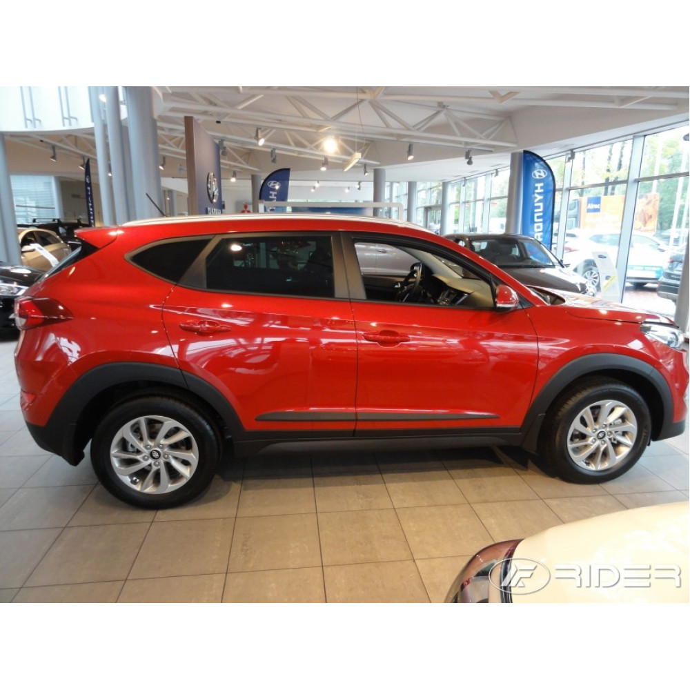 DECORATIVE SIDE MOLDINGS F-52