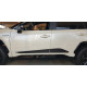 Side moldings TOYOTA RAV4 (2019-...) F-64