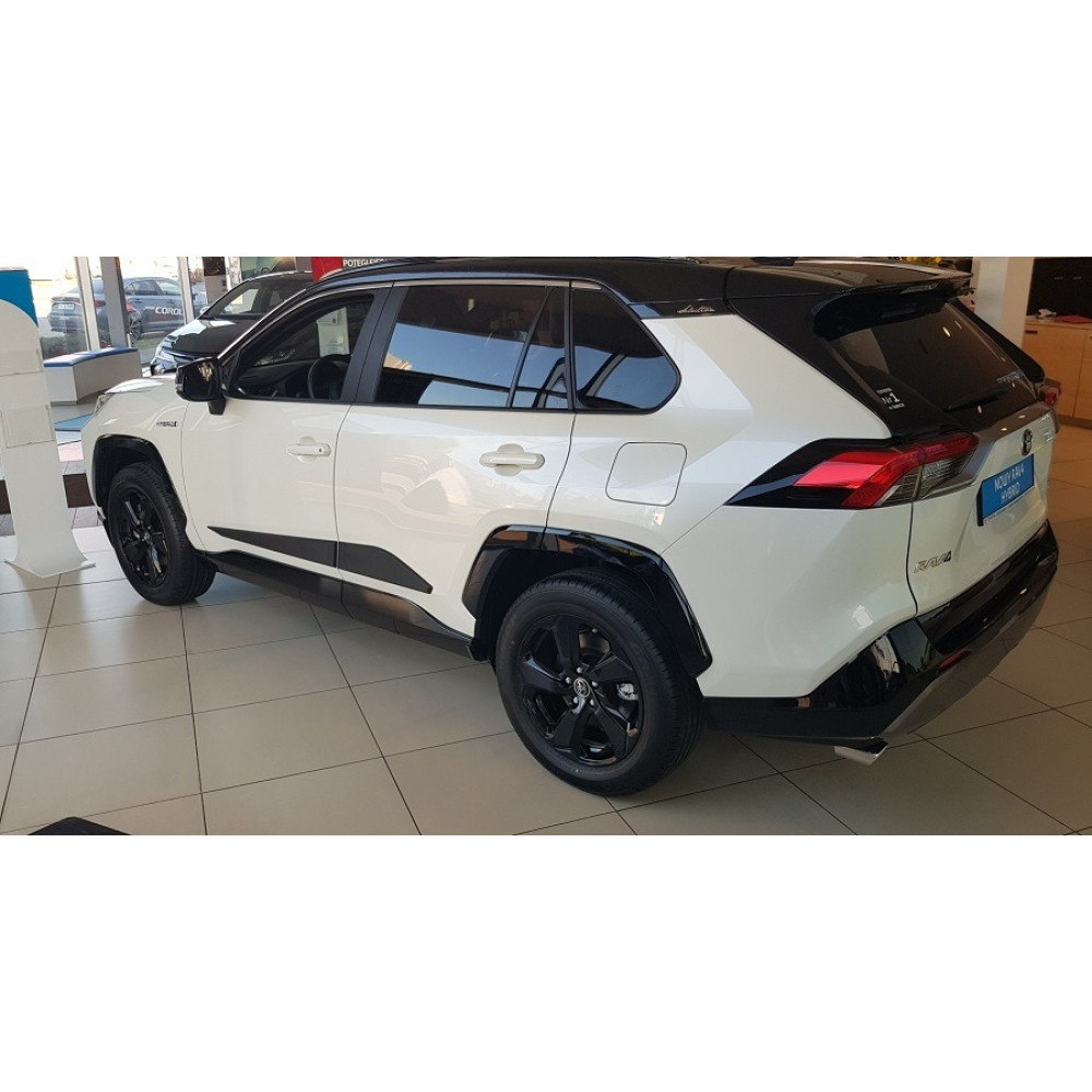 Side moldings TOYOTA RAV4 (2019-...) F-64