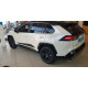 Side moldings TOYOTA RAV4 (2019-...) F-64