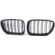 Front grills black gloss BMW 5 GT F07 Double Stripe (2009-2017) 40402