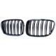Front grills black gloss BMW 5 GT F07 Double Stripe (2009-2017) 40402