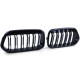 Front grills black gloss BMW X2 F39 (2018-...) 40812