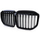 Front grills BMW X7 G07 Double Stripe Black Gloss (2018-...) 40818