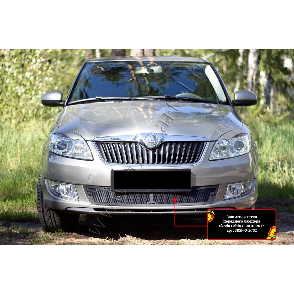 PROTECTIVE NET FOR FRONT BUMPER GRILL SKODA FABIA II (2010-2013) SBSF-046702