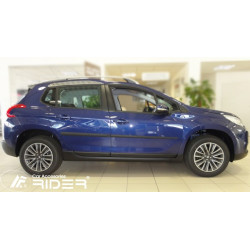 Decorative side moldings F-20