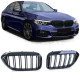 Front grills BMW 5 G30/G31 Double Stripe Piano Black (2017-2021) 34237