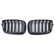 Front grills BMW X5/X6 E70/E71 Double Stripe Piano Black (2007-2014) 40419