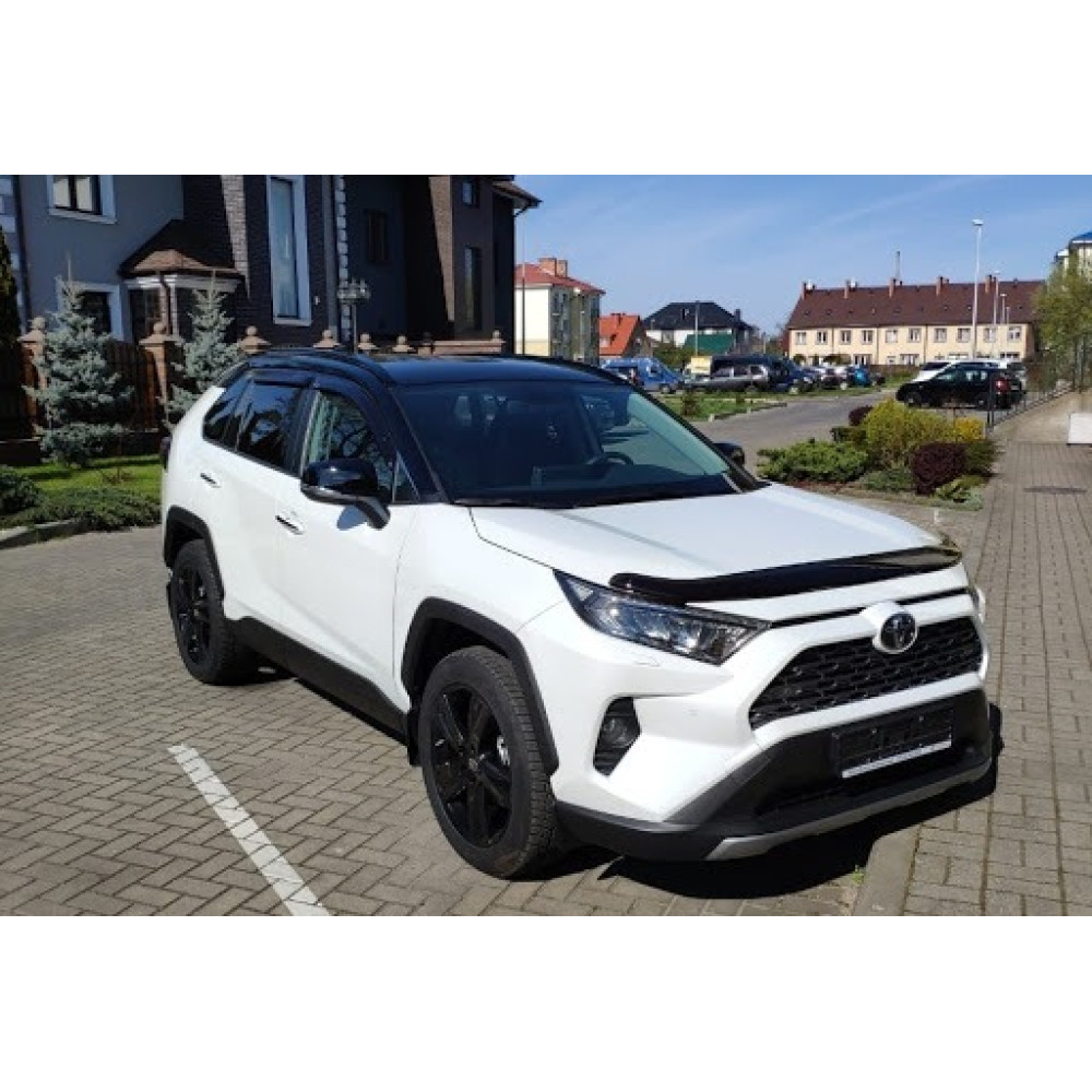 Deflectores de ventana TOYOTA RAV4 (2019-...) EGR
