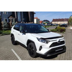 Deflectores de ventana TOYOTA RAV4 (2019-...) EGR
