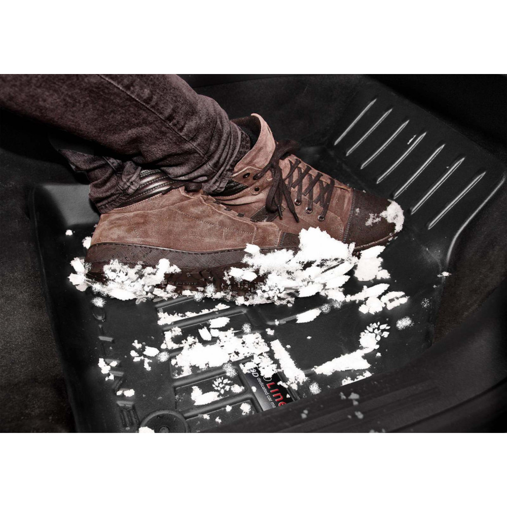 Car rubber floor mats black LEXUS NX (2014-...) 3D FROGUM